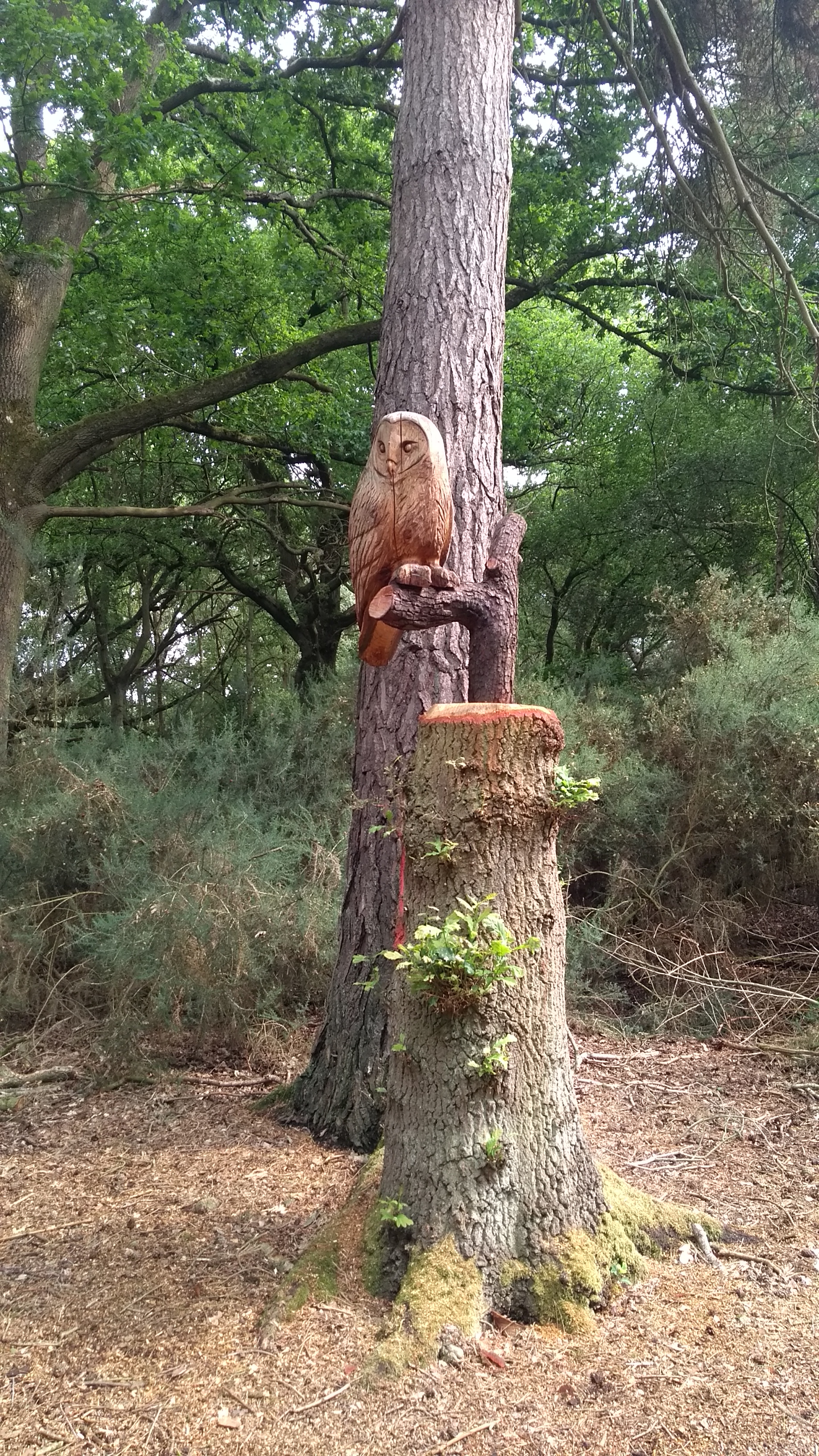 Wooden Owl