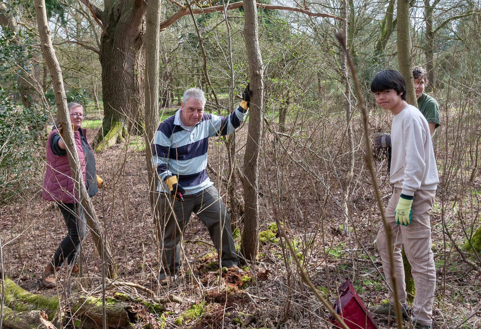Woods tidy day 2