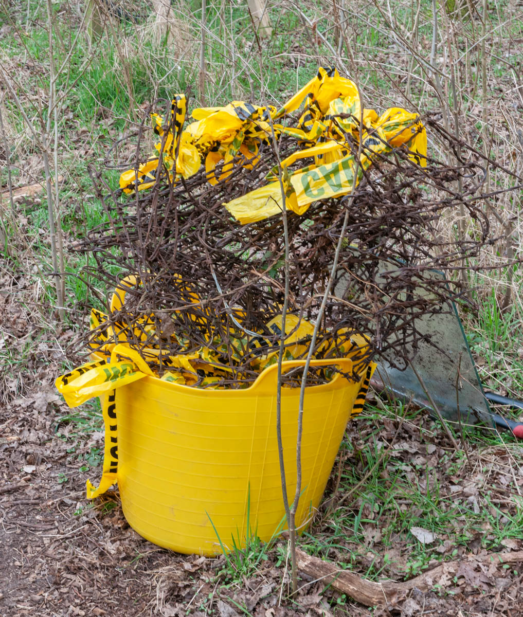 Woods tidy day 5