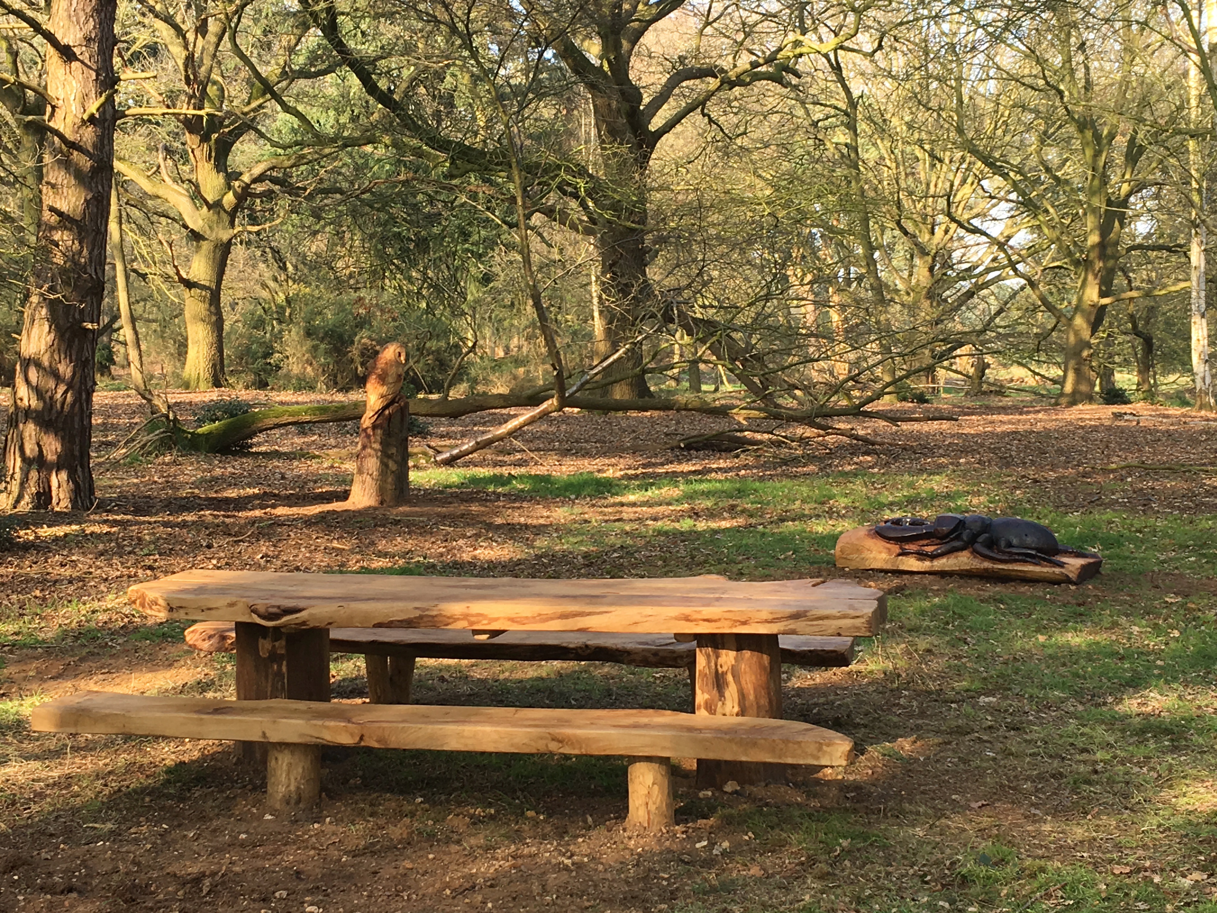 Picnic Area