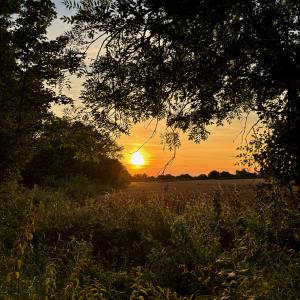 A golden sunset