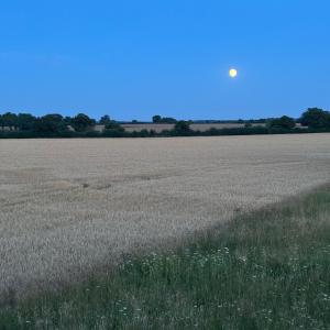 Rising sun over recently harvested fields